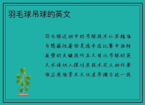 羽毛球吊球的英文