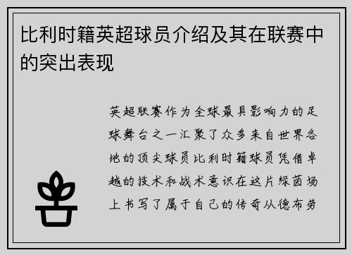 比利时籍英超球员介绍及其在联赛中的突出表现